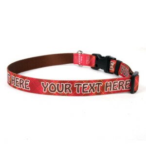 YDID_Red_Kilt__33334__50899.1414176361.490.330