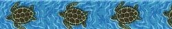 sea-turtles__13524__18171.1391607574.1280.1280