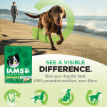 IAMS Visible Difference