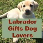 Labrador Gifts Dog Lovers