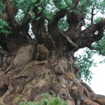 Celebrating At Disney World